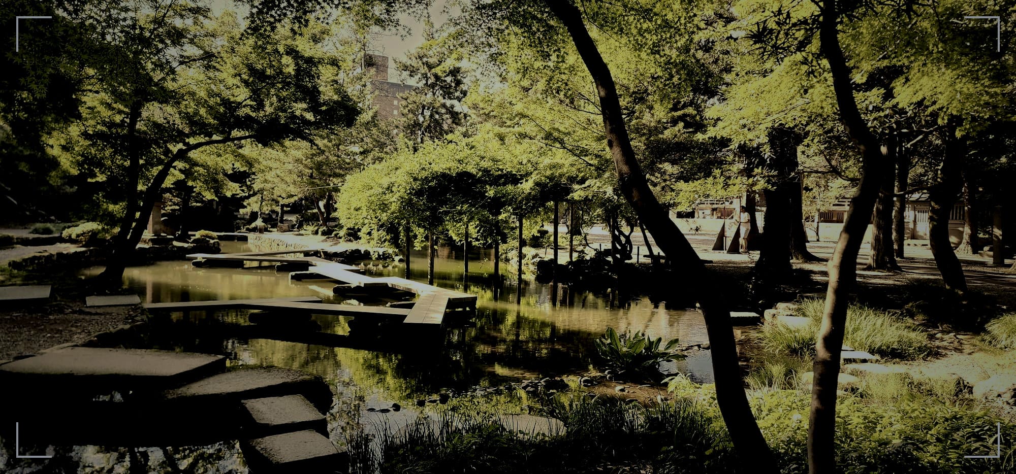 Regan's Rambles